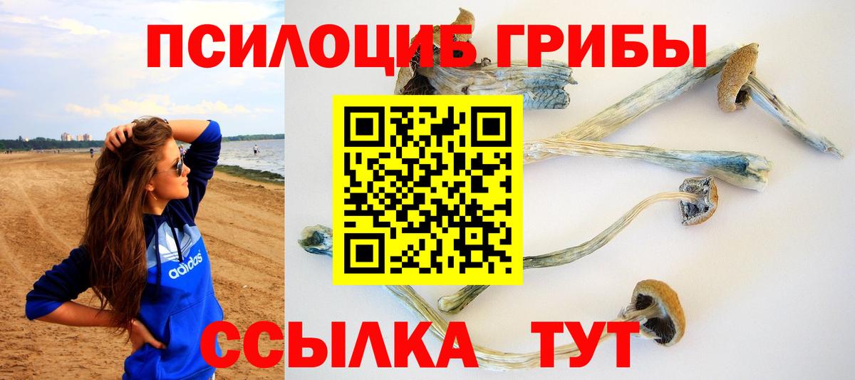Галлюциногенные грибы Magic Shrooms  Вход с VPN  Ханты-Мансийск  Псилоцибиновые грибы Cubensis 